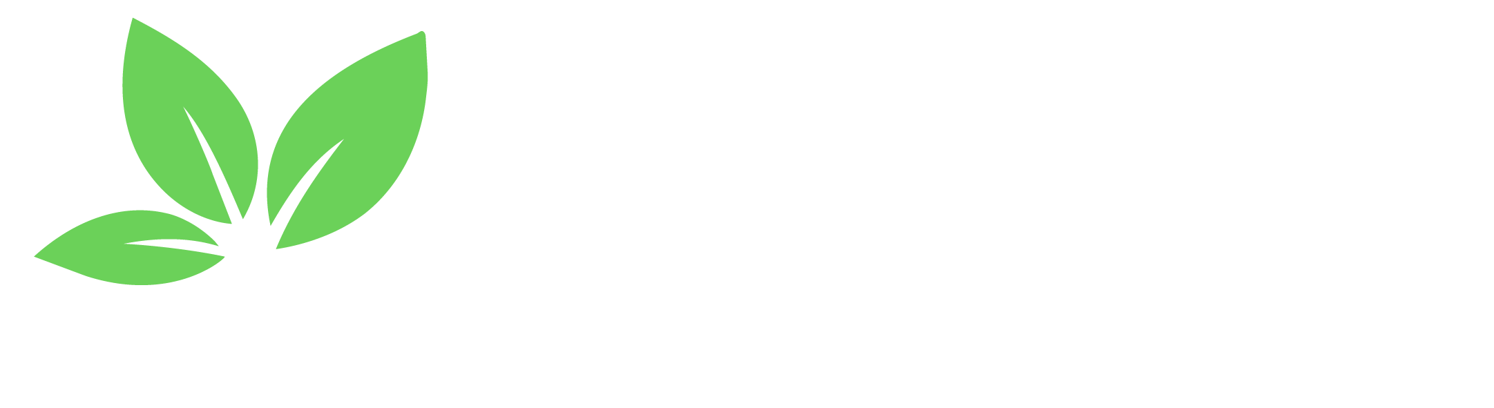 Story Fresh